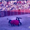 Feria - toros